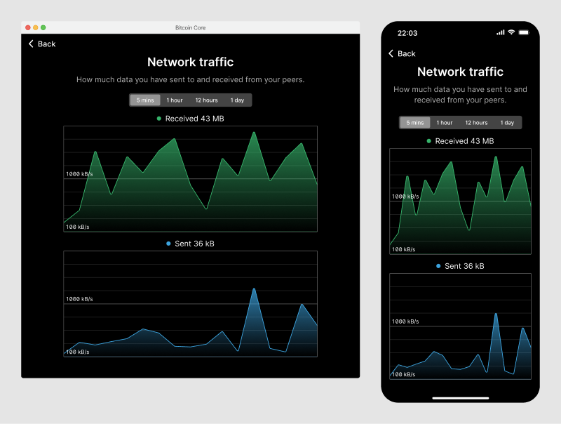 Application screen showing network traffic graphs for incoming and outgoing data