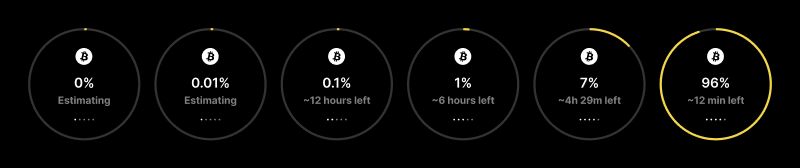 Details of the initial block download state