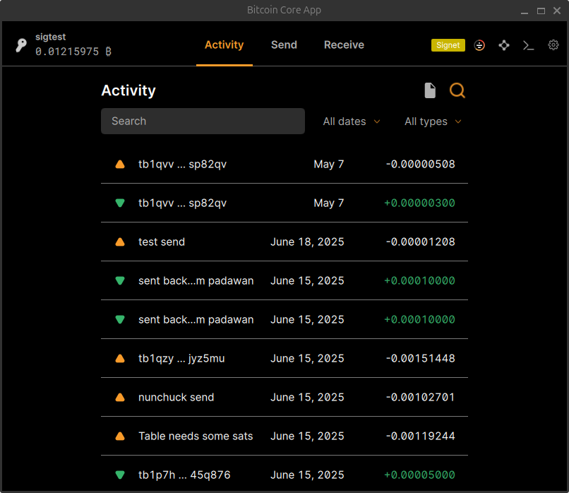 Bitcoin Core App activity screen