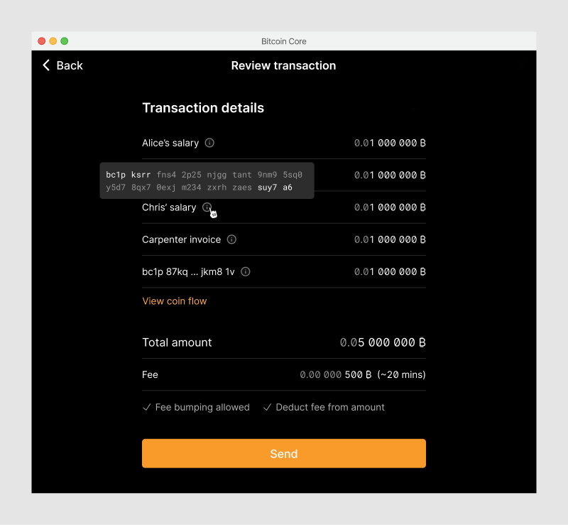 Review screen with a tooltip that shows the destination address for one transaction in the list