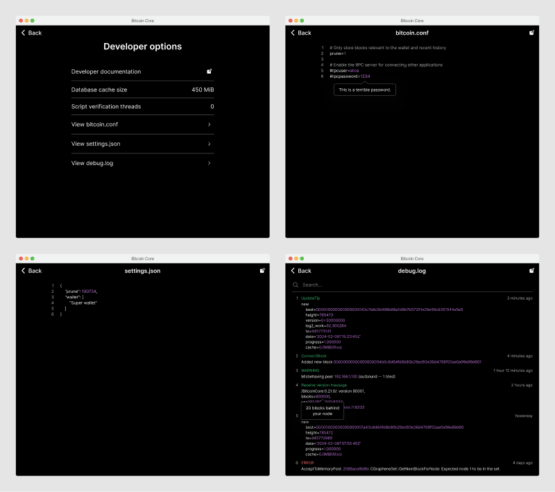 Four screens with basic developer options and detailed views of configuration and debug files